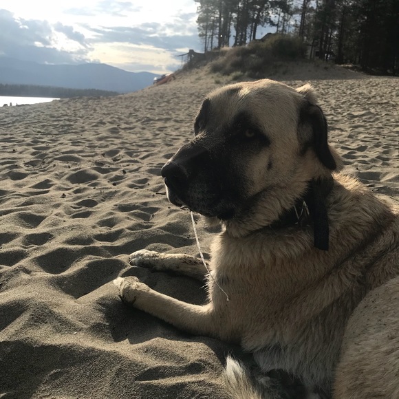 Meet your Posher, Terra - Picture 1 of 1